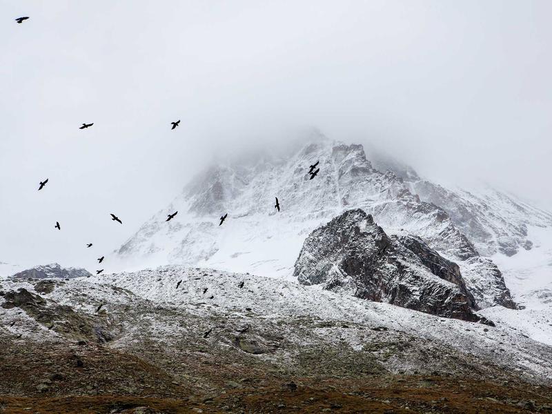 sudoku technique mastery screenshot 2